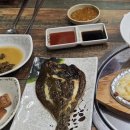 독도회 | [김천맛집] 봄 제철 밀치회 먹으러 ✨ 입안 가득 퍼지는 바다 맛🐠 회킬러가 추천하는 현지인 맛집 🔥