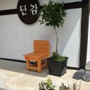 스테이단감 이미지