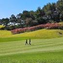 세레니티골프앤리조트 이미지