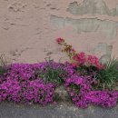 화순동면우체국 이미지