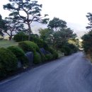 서원주약국 이미지