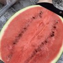 다혜반점 이미지