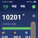 새벽에는 밭일하고~ 이미지