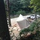 힐링별밤수목원캠핑장
