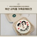가득히케이크 | 부산 사직동 레터링케이크 가득히케이크 생일케이크 내돈내산 솔직후기
