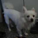 신흥초등학교 이미지