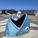 한림유치원 | 🐶🍊애견동반 3박4일 제주도 2일차 (📍구엄리돌염전, 보롬사진관, 카멜리아힐, 성이시돌 목장, 금오름)