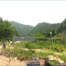 수산리-19 티스토리