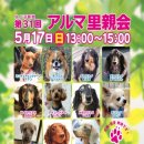 트리밍하임 이미지