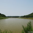 난지도1리 이미지