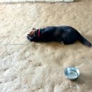 애지농장 이미지