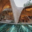 에코리조트 이미지