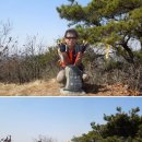 도당1리 이미지