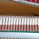 창신1길 이미지