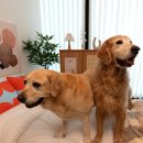 해피모먼트스튜디오