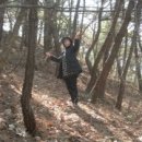 소나무 PC 이미지