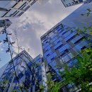 머스트부동산공인중개사사무소 이미지