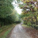 청송자연휴양림 이미지