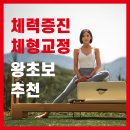 엘랩 | [공지] [마곡 유일/내발산동필라테스] 1:1 개인레슨 필라테스가 이 가격으로?