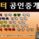 관저 금성백조(114동) 이미지