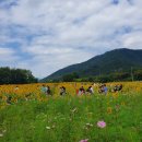 환경시설관리공사 달성사업소 이미지