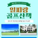 피랑 이미지