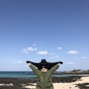 제제댁 네이버블로그