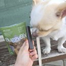 이로운덴탈 이미지