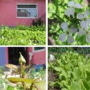 축구장 옆 화단 이미지