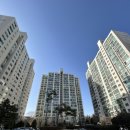 어정초교후문사거리 어정초정문앞 횡단보도(아파트 쪽) | 1월 임장일지(2) - 분당 무지개마을3단지 신한건영아파트