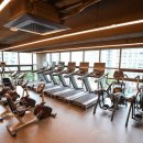 와일드 짐 이미지