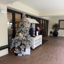 블루메드 | 일본 : 이시가키 클럽메드 카비라 | 레스토랑 후기 (아침, 점심, 늦은 점심, 저녁)