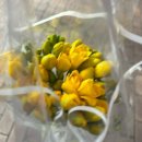 24 | [대구]중구 피헨플리워 5,900원 24시 무인 매장 방문후기
