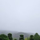 금장초등학교 | 2025 학술답사