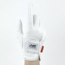 애니 골프 이미지