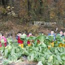 무랑농장 이미지