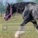 Pressed dr 이미지