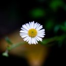 종합마트 | 충청남도 예산군 예산야채종합마트, 위치, 가격, 후기