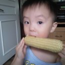 예린농장 이미지