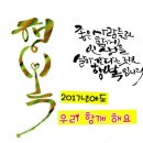 삼성태권도장 이미지