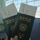 동그리펫 | 강아지랑❤️ 에어프랑스 프리미엄 (반려동물 기내동반 비행 좌석, 기내식 후기 및 가격정보)