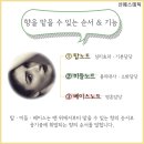 선아로마테라피