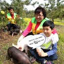 한돈농장 이미지