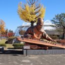 탄금공원 이미지