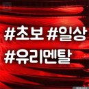 대성자동차유리 이미지