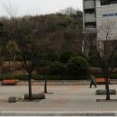 동구청 광장 이미지