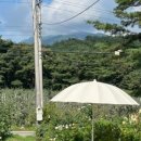 맨션애플트리 이미지