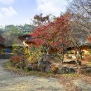 나이테펜션 이미지