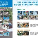 독수리 에이전시 이미지