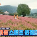 한반도리버2 이미지